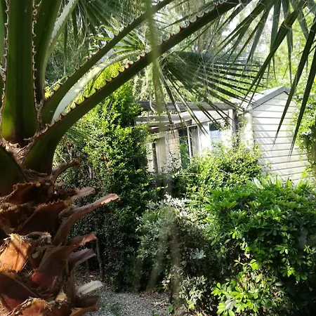 Campeggio Salicamp Boschetto Holiday Terme Vigliatore